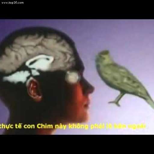 Vạn Pháp Duy Thức